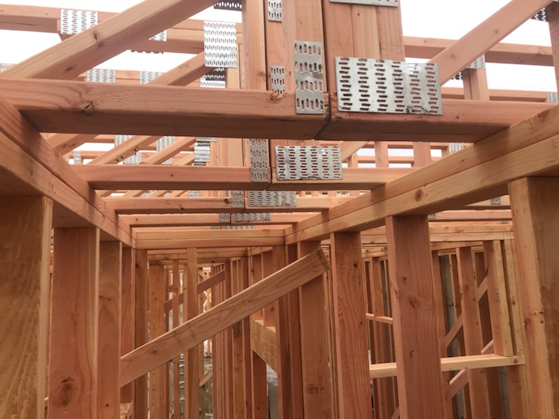 Professional general contractor working on home renovation